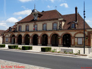 DSC01423.jpg