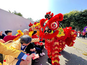 Lion Dance_30