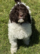 87752AC6-6FED-4379-A829-54ED7F36C9F3