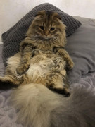 607b5d1f-9a25-43ce-8a16-df6ce0fe405d