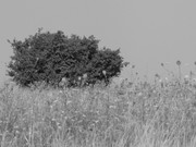 ADP Free party Balscha 2009 025