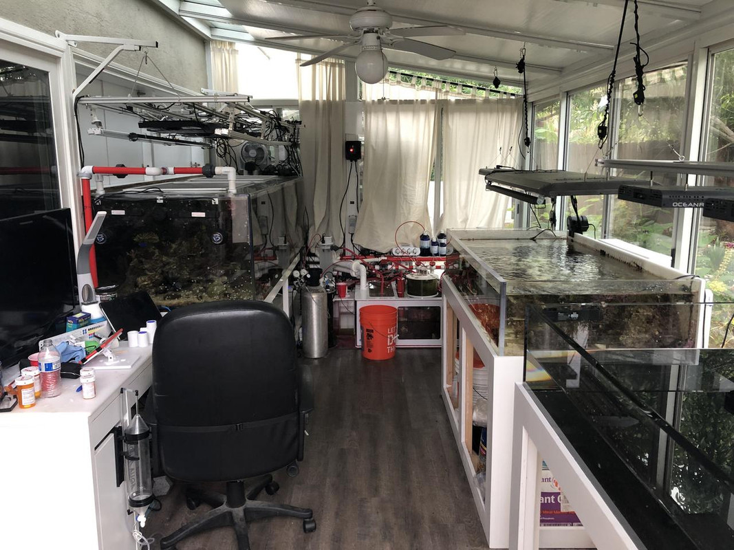 17534EBA-5989-4E31-8D41-147F0D46D60C