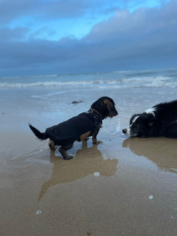 [Image: IMG-20240118-WA0008.jpg]