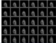 Screenshot 2025 11 16 at 01 20 12