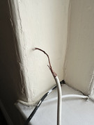 IMG-6118
