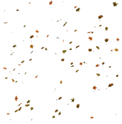 TADD_elements_Shimmer_Fall_106