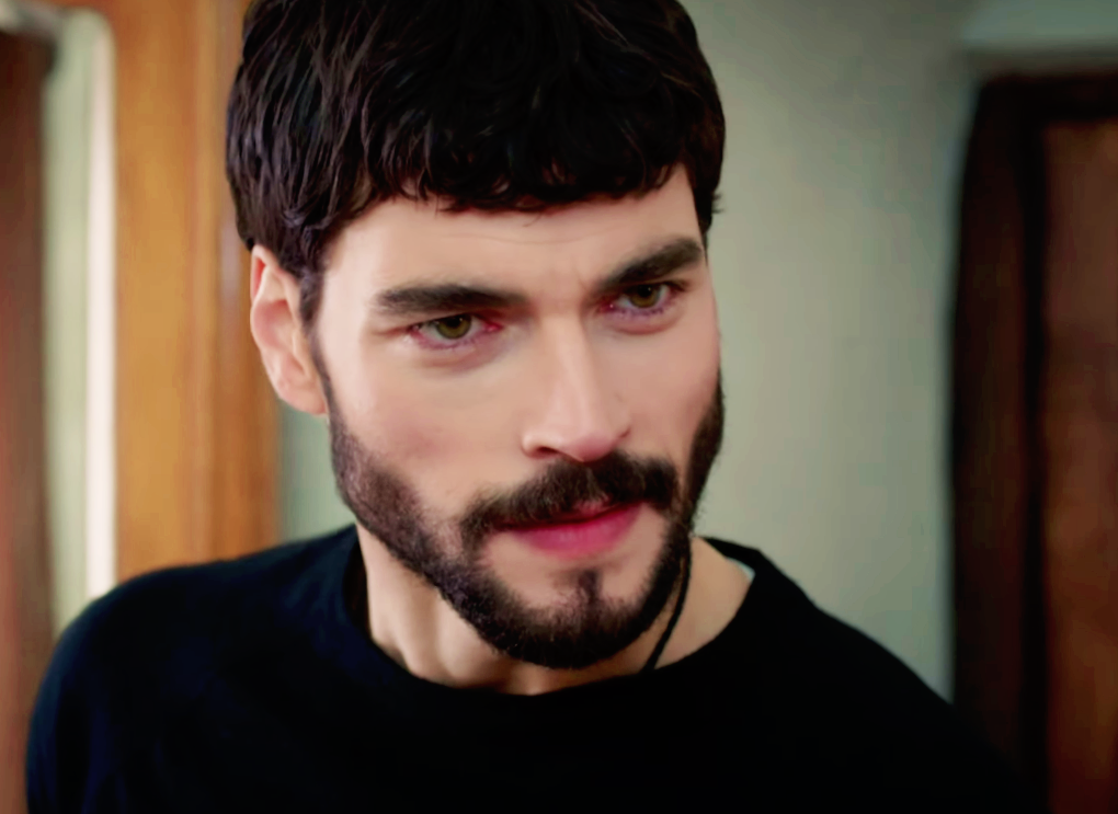 Hercai / თავქარიანი 17
