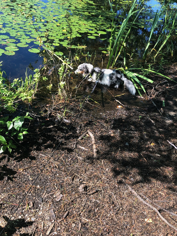 0ADDE1D8-52AD-44D3-8ED1-CB6B01D9218A