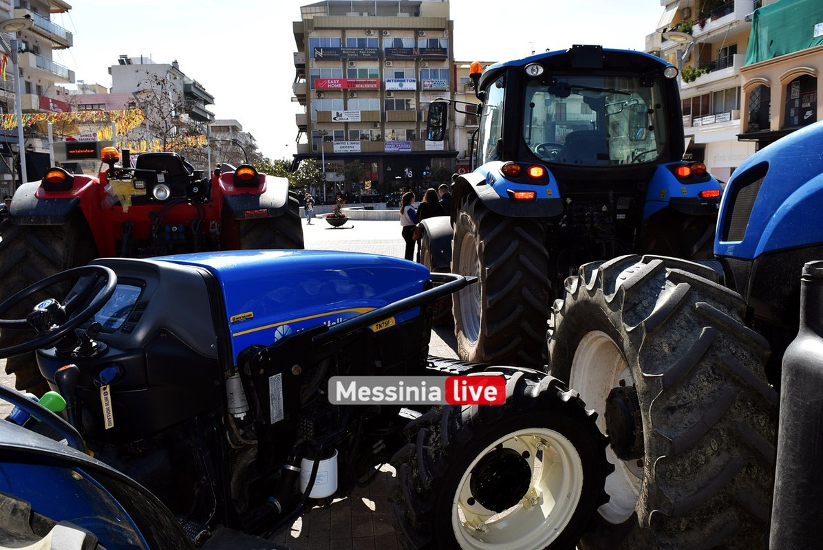 agrotes-DSC-0899
