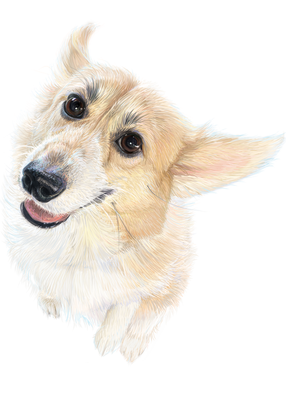 athena commission for transparent copy