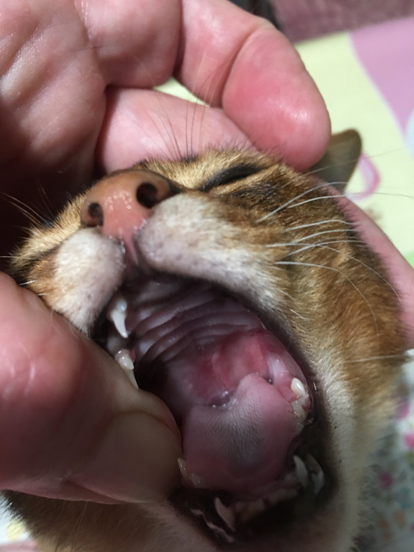 AA86E340-9C61-4D49-96D1-D09B0B22E3E5