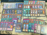 k9 white forest regenesis