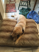 image_2023-02-02_224857922