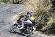 IMG-1360