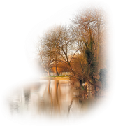 40c4e3451663ae6247dc959fa98227f6o44