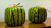 two-square-watermelons-jpg-1440x960-q100