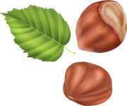 Pumpkinfairykitpudnacorns2