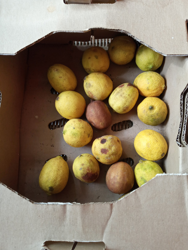 [Image: 20200907-115805.jpg]