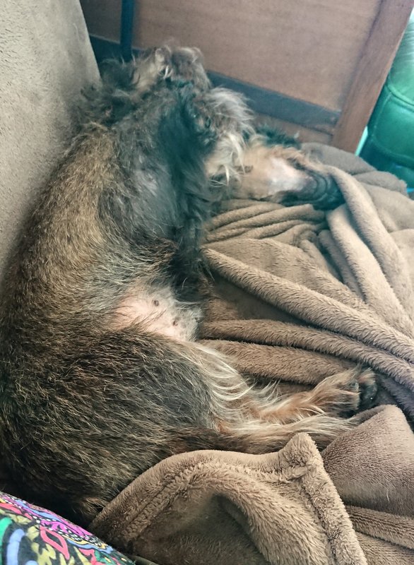 [Image: 20240404-145908.jpg]