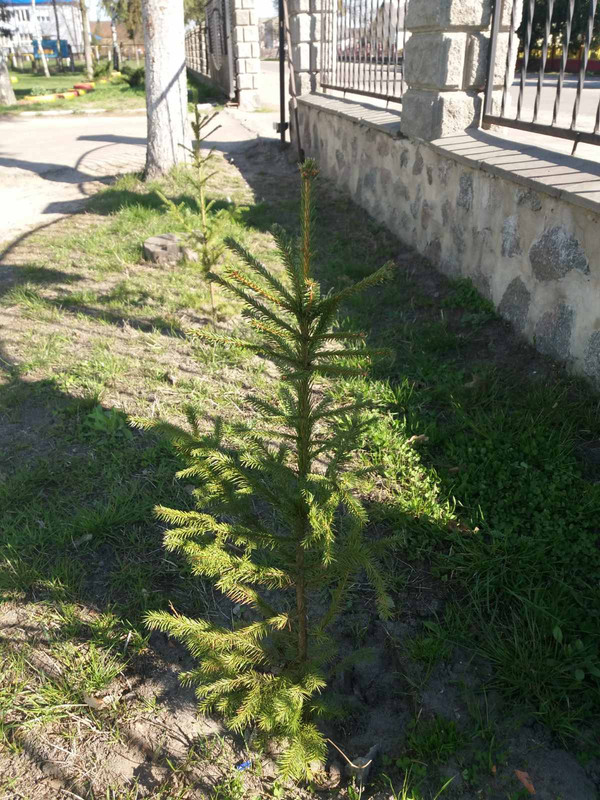 зображення_viber_2021-04-28_09-42-51