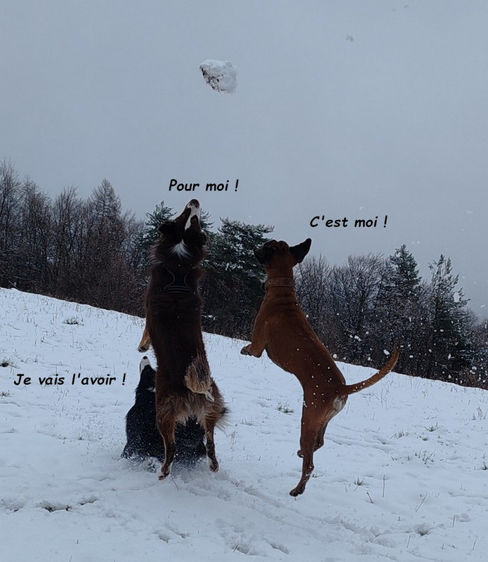 IMG-20260314-150455bb