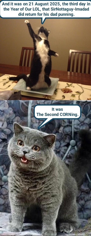 in-the-year-one-acc-after-cheez-crash