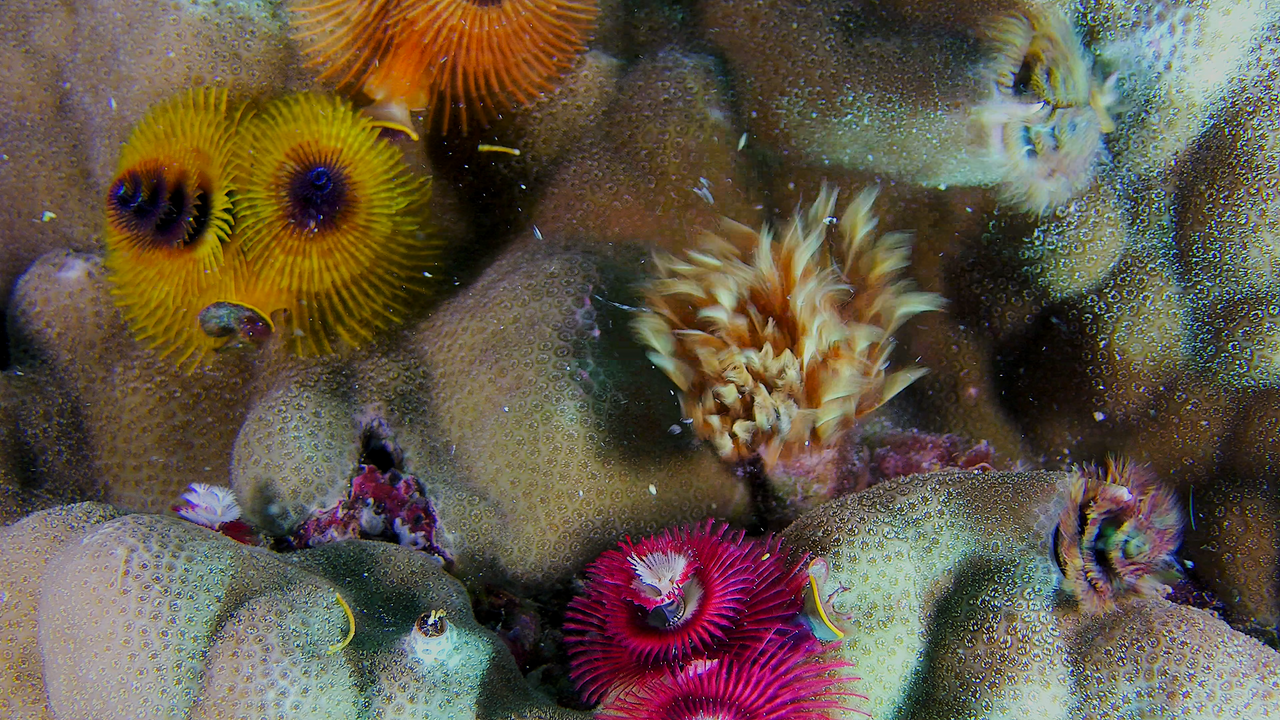 9802aea1e8bacfe0513609d029141bf7