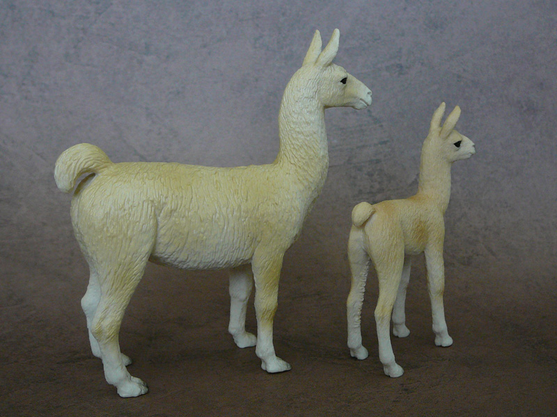 Mojö 2019 Llama and Cria- a walkaround by A.R.Garcia P1090608ed