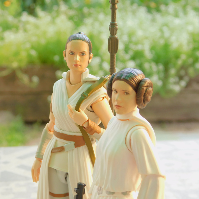 Дачно-Харлинский июнь-июль 2024 198