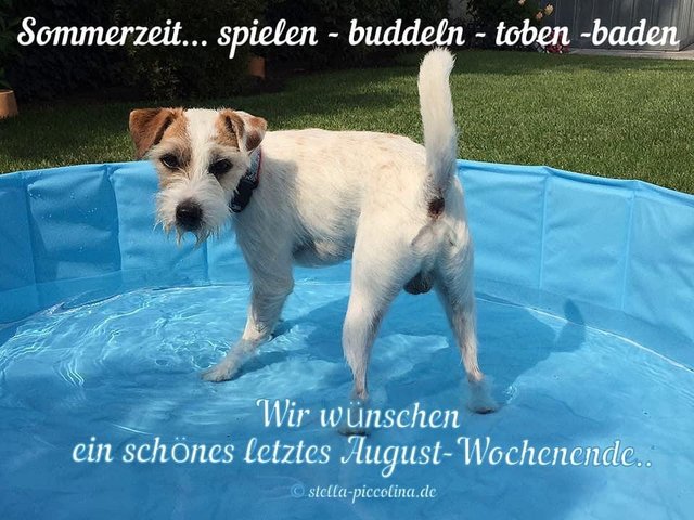 An den Beitrag angehängtes Bild: https://i.postimg.cc/YjcsCBjQ/WOCHENSCHO-N-09.jpg
