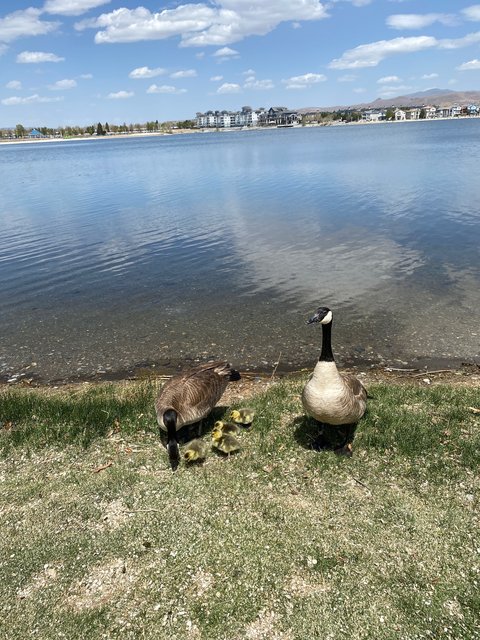 [Image: 99-AC62-BD-60-FA-4324-8-C46-C91-DC5-FDB653.jpg]