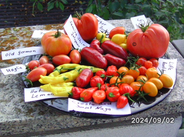 [Bild: BILD0391.jpg]