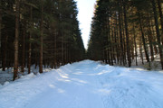 IMG-1518x