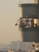 photo 14 2026 01 03 21 27 57