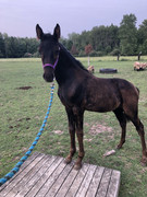 9-FFE5-C05-BF55-40-F7-82-C3-41-D3-F48-F5-EC5