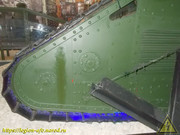 DSCN8613
