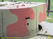 IMG-3667