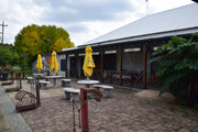 DSC-0024