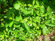 photo 9 2025 12 24 16 09 51