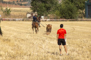 IMG-0444