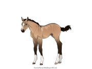 37C15237-C80A-48B9-88A9-8EFD8D212A2F