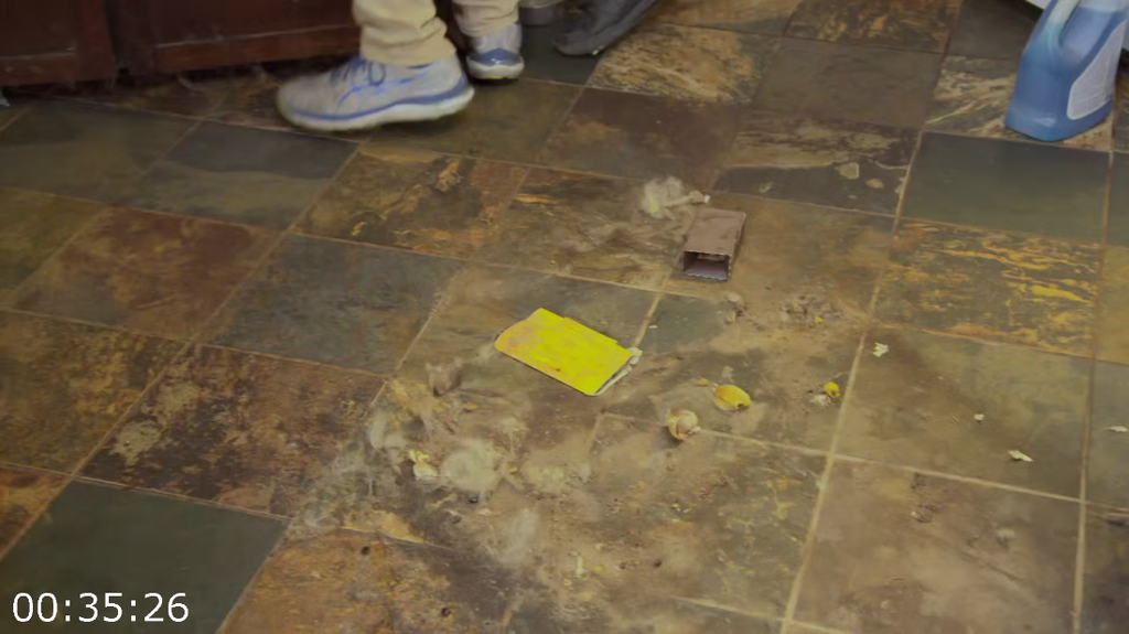 [Image: 5jp1t55rtkop.png]