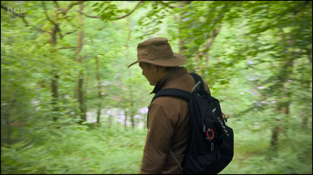 [Image: etvs8y6k0p9j.png]