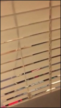 [Image: Voyeur27105095819.jpg]