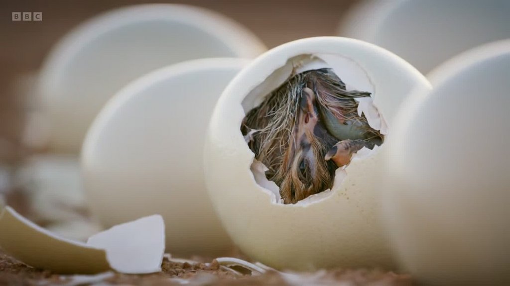 [Image: 3ranxv8pn1b3.jpg]