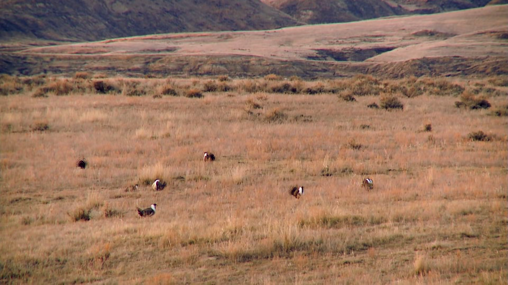 [Image: 238v5llsphss.png]