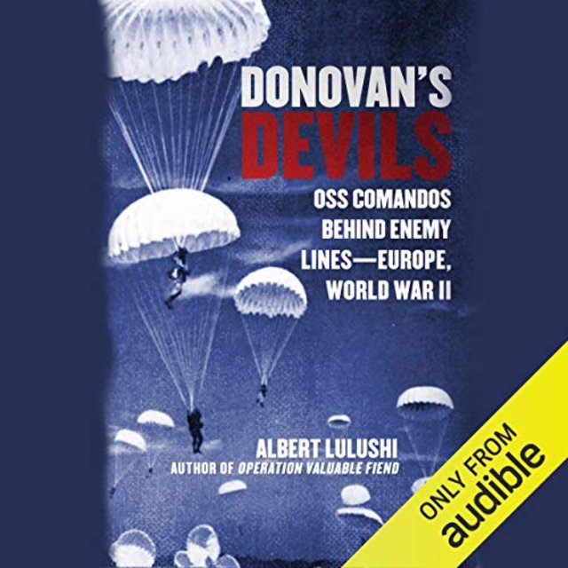 Audiobook Review: Donovan’s Devils by Albert Lulushi