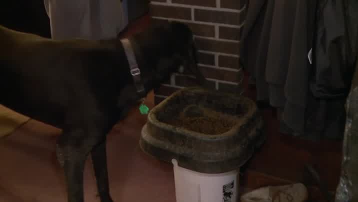 [Image: g3gnfov48p2t.jpg]