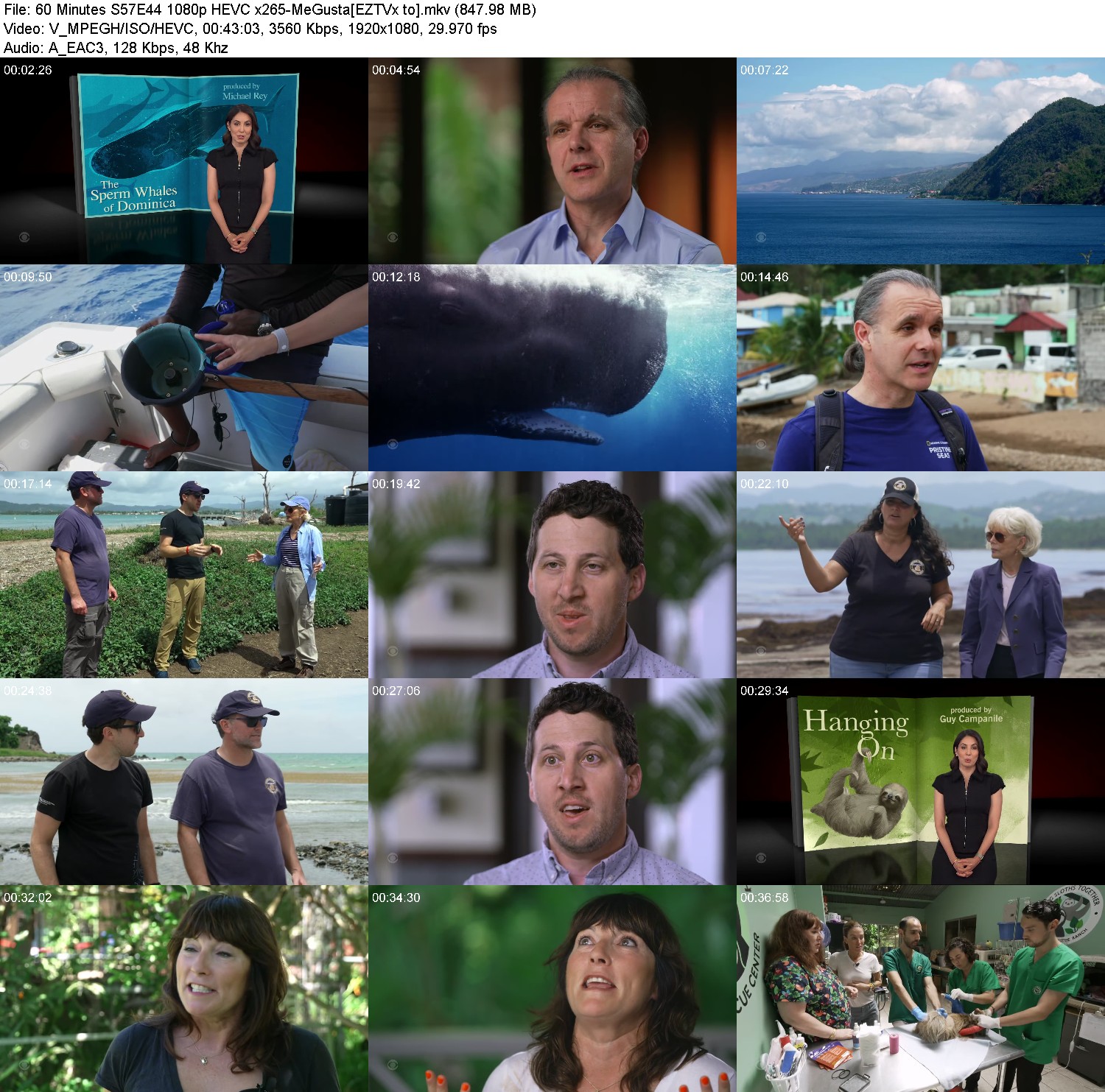 [Image: q11l40ebxojk.jpg]