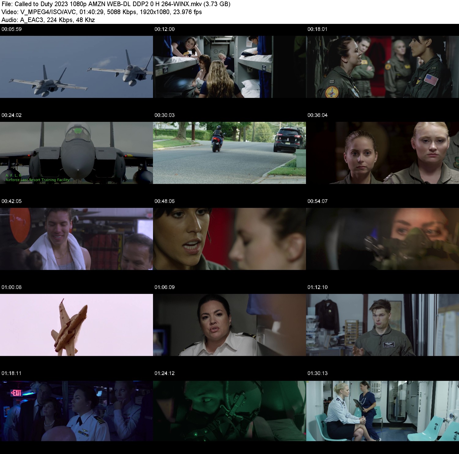 [Image: y3v03zzbml8s.jpg]